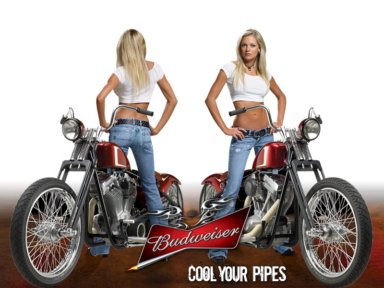 http://www.budweiser.com http://www.budweiser.com